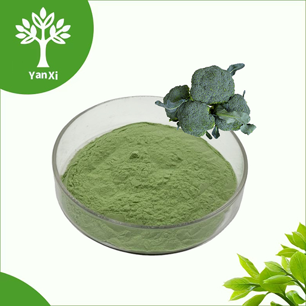 Broccoli Powder Bulk Broccoli Powder Bulk